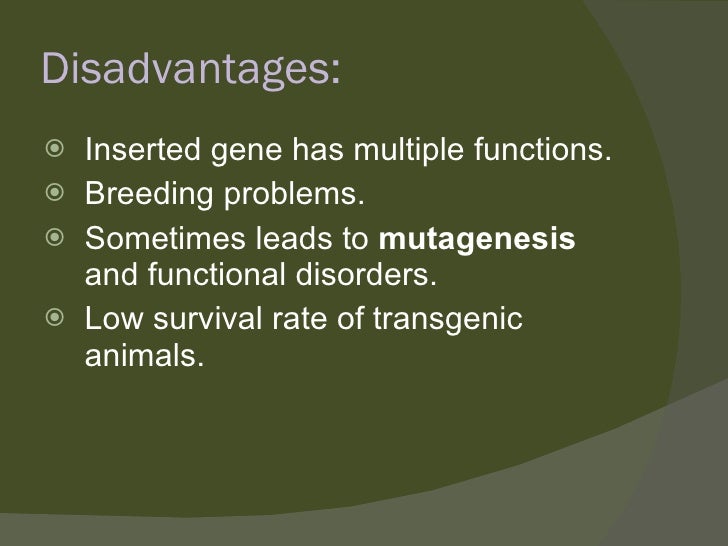 Transgenic animals ppt