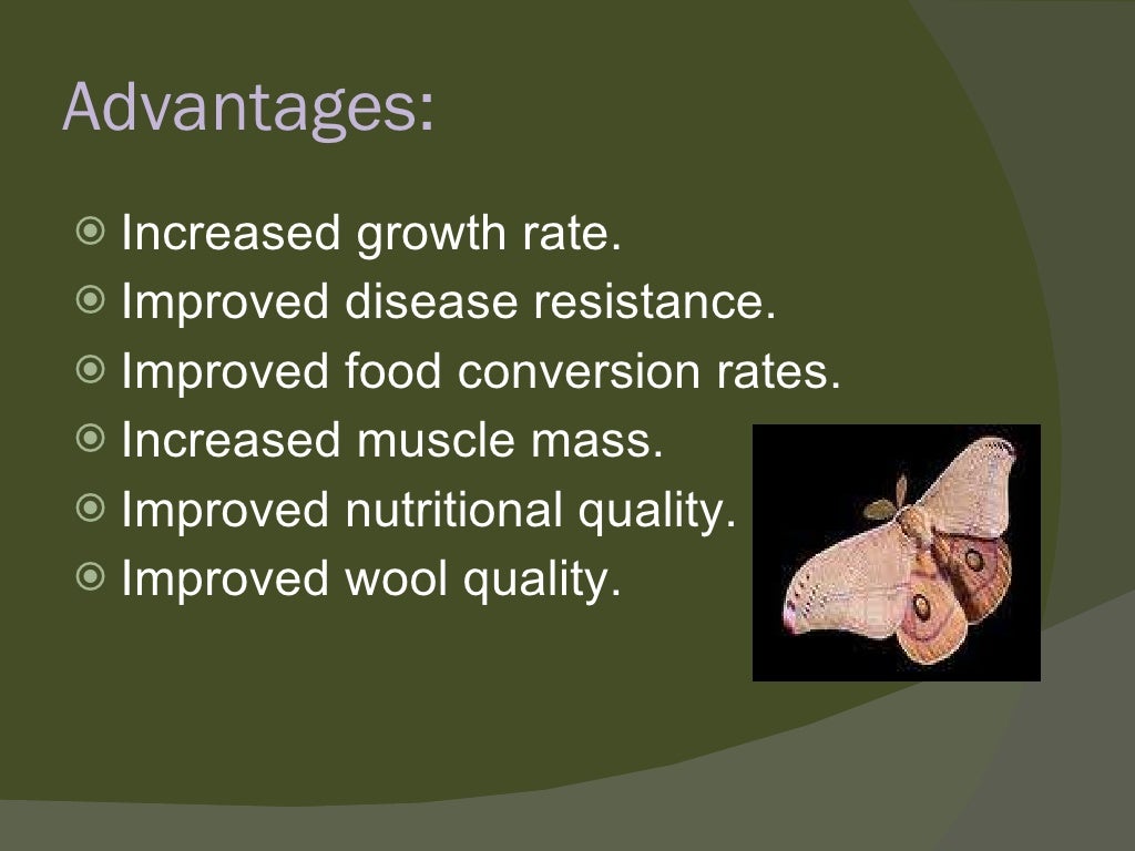 Transgenic animals ppt