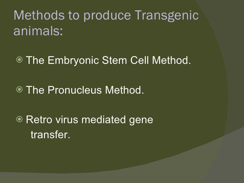 Transgenic animals ppt