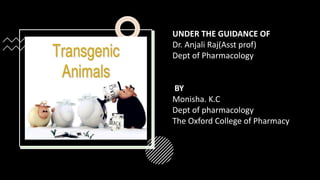 TRANSGENIC
ANIMALS
UNDER THE GUIDANCE OF
Dr. Anjali Raj(Asst prof)
Dept of Pharmacology
BY
Monisha. K.C
Dept of pharmacology
The Oxford College of Pharmacy
 
