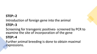 STEP:-2
Introduction of foreign gene into the animal
STEP:-3
Screening for transgenic positives- screened by PCR to
examine the site of incorporation of the gene
STEP:-4
Further animal breeding is done to obtain maximal
expressions.
 