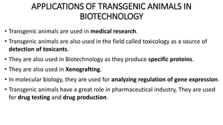 APPLICATIONS OF TRANSGENIC ANIMALS IN
BIOTECHNOLOGY
• Transgenic animals are used in medical research.
• Transgenic animals are also used in the field called toxicology as a source of
detection of toxicants.
• They are also used in Biotechnology as they produce specific proteins.
• They are also used in Xenografting.
• In molecular biology, they are used for analyzing regulation of gene expression.
• Transgenic animals have a great role in pharmaceutical industry, They are used
for drug testing and drug production.
 