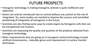 FUTURE PROSPECTS
• Transgenic technology in making transgenic animals is quite inefficient and
expensive.
• Genes can only be introduced into an animal without any control on the site of
integration. So, more studies are needed to improve the success and controlled
positioning of integration of transgenes in the future.
• Scientists are also finding some ways to create organs by Xenogenic cells that can
be transplanted into humans.
• Scientists are improving the quality and quantity of the products obtained from
transgenic technology.
• Other improvements that are going on in transgenic animal technology include
artificial chromosomes , inducible genes and improvement in nuclear transfer
techniques.
 
