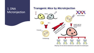 1. DNA
Microinjection
 