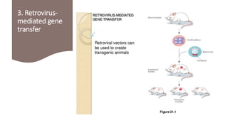 3. Retrovirus-
mediated gene
transfer
 