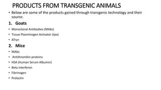 PRODUCTS FROM TRANSGENIC ANIMALS
• Below are some of the products gained through transgenic technology and their
source.
1. Goats
• Monoclonal Antibodies (MAbs)
• Tissue Plasminogen Activator (tpa)
• ATryn
2. Mice
• MAbs
• Antithrombin proteins
• HSA (Human Serum Albumin)
• Beta interferon
• Fibrinogen
• Prolactin
 