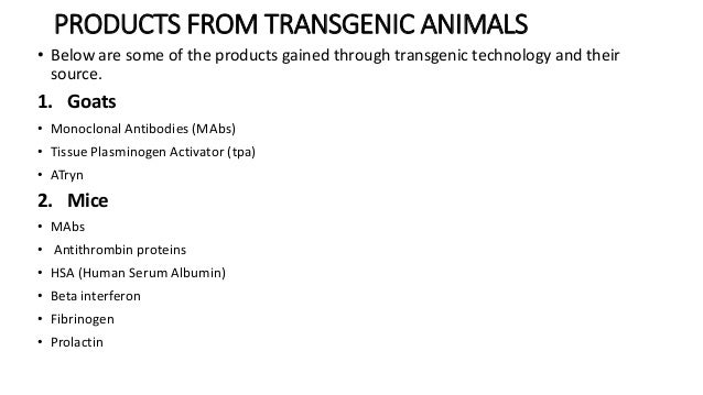 Transgenic Animal Technology Ppt Transgenic Animal Technology Ppt
