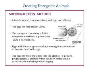 Creating Transgenic Animals
 