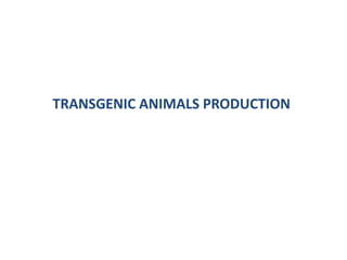TRANSGENIC ANIMALS PRODUCTION
 