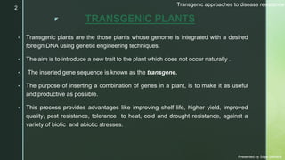 Transgenic approaches to disease resistance (1).pptx