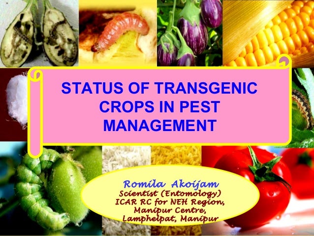 Transgenic Crops - 