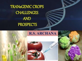 TRANsGENIC CROPS
CHALLENGES
AND
PROSPECTS
R.S. ARCHANA
 