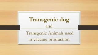 Transgenic dog
and
Transgenic Animals used
in vaccine production
 