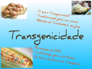 Transgenicidade
 