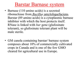 Barstar Barnase system
• Barnase (110 amino acids) is a secreted
ribonuclease from Bacillus amyloliquefaciens.
Barstar (89 amino acids) is a cytoplasmic barnase
inhibitor with which the host protects itself.
RNase is linked with bar gene (glufosinate
tolerant), so glufosinate tolerant plant will be
male sterile.
• GM canola containing barstar/ barnase system
composes about 10% of commercially cultivated
crops in Canada and is one of the few GMO
cleared for agricultural use in Europe.
 