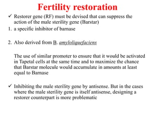 Fertility restoration
 Restorer gene (RF) must be devised that can suppress the
action of the male sterility gene (Barstar)
1. a specific inhibitor of barnase
2. Also derived from B. amyloliquefaciens
The use of similar promoter to ensure that it would be activated
in Tapetal cells at the same time and to maximize the chance
that Barstar molecule would accumulate in amounts at least
equal to Barnase
 Inhibiting the male sterility gene by antisense. But in the cases
where the male sterility gene is itself antisense, designing a
restorer counterpart is more problematic
 