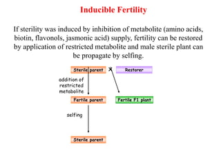 Inducible Fertility
Sterile parent X Restorer
selfing
If sterility was induced by inhibition of metabolite (amino acids,
biotin, flavonols, jasmonic acid) supply, fertility can be restored
by application of restricted metabolite and male sterile plant can
be propagate by selfing.
addition of
restricted
metabolite
Fertile parent
Sterile parent
Fertile parentFertile F1 plant
 