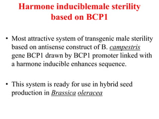Harmone induciblemale sterility
based on BCP1
• Most attractive system of transgenic male sterility
based on antisense construct of B. campestris
gene BCP1 drawn by BCP1 promoter linked with
a harmone inducible enhances sequence.
• This system is ready for use in hybrid seed
production in Brassica oleracea
 
