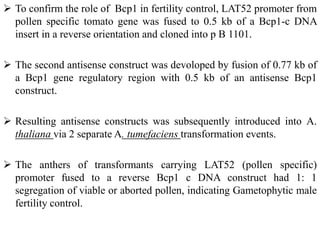  To confirm the role of Bcp1 in fertility control, LAT52 promoter from
pollen specific tomato gene was fused to 0.5 kb of a Bcp1-c DNA
insert in a reverse orientation and cloned into p B 1101.
 The second antisense construct was devoloped by fusion of 0.77 kb of
a Bcp1 gene regulatory region with 0.5 kb of an antisense Bcp1
construct.
 Resulting antisense constructs was subsequently introduced into A.
thaliana via 2 separate A. tumefaciens transformation events.
 The anthers of transformants carrying LAT52 (pollen specific)
promoter fused to a reverse Bcp1 c DNA construct had 1: 1
segregation of viable or aborted pollen, indicating Gametophytic male
fertility control.
 