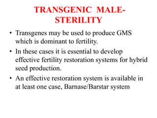 TRANSGENIC MALE-
STERILITY
• Transgenes may be used to produce GMS
which is dominant to fertility.
• In these cases it is essential to develop
effective fertility restoration systems for hybrid
seed production.
• An effective restoration system is available in
at least one case, Barnase/Barstar system
 