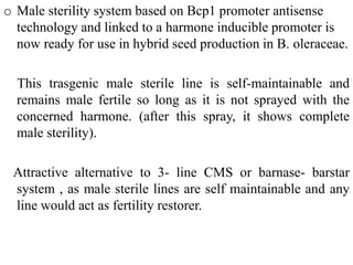 o Male sterility system based on Bcp1 promoter antisense
technology and linked to a harmone inducible promoter is
now ready for use in hybrid seed production in B. oleraceae.
This trasgenic male sterile line is self-maintainable and
remains male fertile so long as it is not sprayed with the
concerned harmone. (after this spray, it shows complete
male sterility).
Attractive alternative to 3- line CMS or barnase- barstar
system , as male sterile lines are self maintainable and any
line would act as fertility restorer.
 