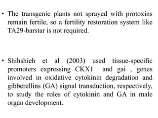 • The transgenic plants not sprayed with protoxins
remain fertile, so a fertility restoration system like
TA29-barstar is not required.
• Shihshieh et al (2003) used tissue-specific
promoters expressing CKX1 and gai , genes
involved in oxidative cytokinin degradation and
gibberellins (GA) signal transduction, respectively,
to study the roles of cytokinin and GA in male
organ development.
 