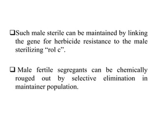 Such male sterile can be maintained by linking
the gene for herbicide resistance to the male
sterilizing “rol c”.
 Male fertile segregants can be chemically
rouged out by selective elimination in
maintainer population.
 