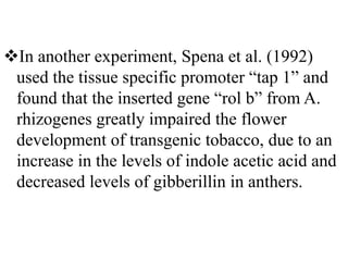In another experiment, Spena et al. (1992)
used the tissue specific promoter “tap 1” and
found that the inserted gene “rol b” from A.
rhizogenes greatly impaired the flower
development of transgenic tobacco, due to an
increase in the levels of indole acetic acid and
decreased levels of gibberillin in anthers.
 