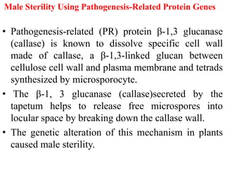 Male Sterility Using Pathogenesis-Related Protein Genes
• Pathogenesis-related (PR) protein β-1,3 glucanase
(callase) is known to dissolve specific cell wall
made of callase, a β-1,3-linked glucan between
cellulose cell wall and plasma membrane and tetrads
synthesized by microsporocyte.
• The β-1, 3 glucanase (callase)secreted by the
tapetum helps to release free microspores into
locular space by breaking down the callase wall.
• The genetic alteration of this mechanism in plants
caused male sterility.
 