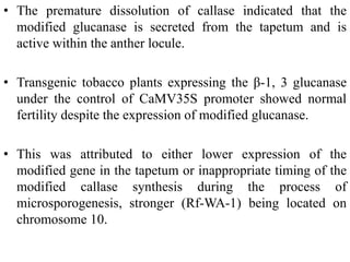 • The premature dissolution of callase indicated that the
modified glucanase is secreted from the tapetum and is
active within the anther locule.
• Transgenic tobacco plants expressing the β-1, 3 glucanase
under the control of CaMV35S promoter showed normal
fertility despite the expression of modified glucanase.
• This was attributed to either lower expression of the
modified gene in the tapetum or inappropriate timing of the
modified callase synthesis during the process of
microsporogenesis, stronger (Rf-WA-1) being located on
chromosome 10.
 