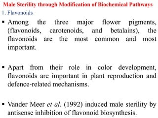 Male Sterility through Modification of Biochemical Pathways
1. Flavonoids
 Among the three major flower pigments,
(flavonoids, carotenoids, and betalains), the
flavonoids are the most common and most
important.
 Apart from their role in color development,
flavonoids are important in plant reproduction and
defence-related mechanisms.
 Vander Meer et al. (1992) induced male sterility by
antisense inhibition of flavonoid biosynthesis.
 