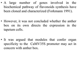 • A large number of genes involved in the
biochemical pathway of flavonoids synthesis have
been cloned and characterized (Forkmann 1991).
• However, it was not concluded whether the anther
box on its own directs the expression in the
tapetum cells.
• It was argued that modules that confer organ
specificity to the CaMV35S promoter may act in
concern with anther box.
 