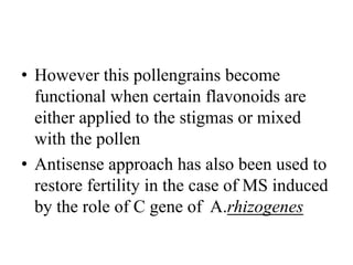 • However this pollengrains become
functional when certain flavonoids are
either applied to the stigmas or mixed
with the pollen
• Antisense approach has also been used to
restore fertility in the case of MS induced
by the role of C gene of A.rhizogenes
 