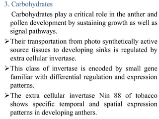3. Carbohydrates
Carbohydrates play a critical role in the anther and
pollen development by sustaining growth as well as
signal pathways.
Their transportation from photo synthetically active
source tissues to developing sinks is regulated by
extra cellular invertase.
This class of invertase is encoded by small gene
familiar with differential regulation and expression
patterns.
The extra cellular invertase Nin 88 of tobacco
shows specific temporal and spatial expression
patterns in developing anthers.
 