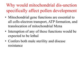Why would mitochondrial dis-unction
specifically affect pollen development
• Mitochondrial gene functions are essential to
all cells-electron transport, ATP formation, and
translocation of mitochondrial Mzna
• Interuption of any of these functions would be
expected to be lethal
• Confers both male sterility and disease
resistance
 