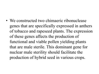 • We constructed two chimaeric ribonuclease
genes that are specifically expressed in anthers
of tobacco and rapeseed plants. The expression
of these genes affects the production of
functional and viable pollen yielding plants
that are male sterile. This dominant gene for
nuclear male sterility should facilitate the
production of hybrid seed in various crops.
 