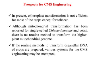Prospects for CMS Engineering
 In present, chloroplast transformation is not efficient
for most of the crops except for tobacco.
 Although mitochondrial transformation has been
reported for single-celled Chlamydomonas and yeast,
there is no routine method to transform the higher-
plant mitochondrial genome.
 If the routine methods to transform organellar DNA
of crops are prepared, various systems for the CMS
engineering may be attempted.
 