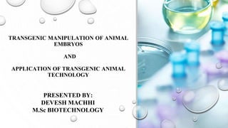 TRANSGENIC MANIPULATION OF ANIMAL
EMBRYOS
AND
APPLICATION OF TRANSGENIC ANIMAL
TECHNOLOGY
PRESENTED BY:
DEVESH MACHHI
M.Sc BIOTECHNOLOGY
 
