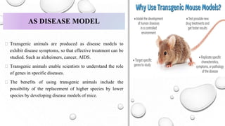 Transgenic manipulation of animal embryos and its application | PPTX