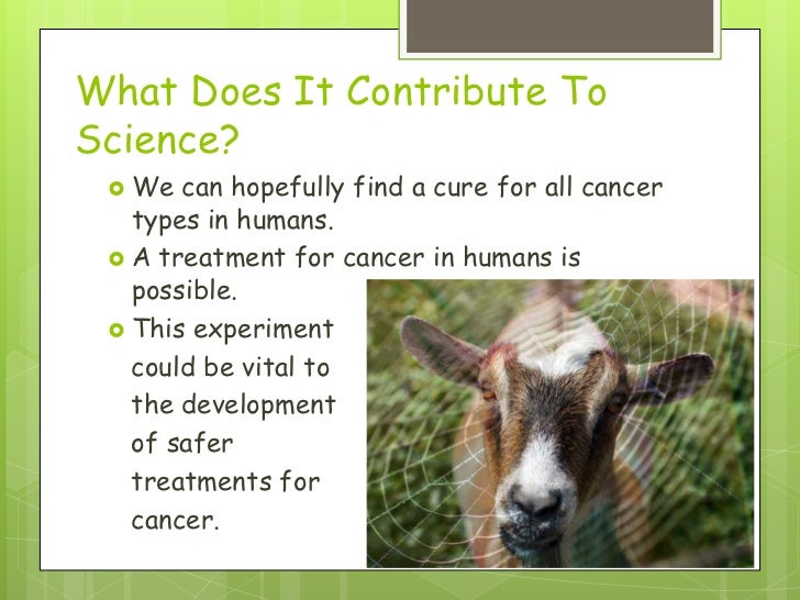 Transgenic animals definition biology