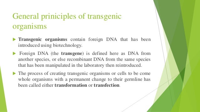 A Transgenic Organism Is: - After these foreign genes get into an organism, they don't ...