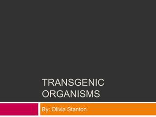 TRANSGENIC
ORGANISMS
By: Olivia Stanton
 