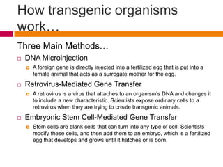 How transgenic organisms
work…
Three Main Methods…
   DNA Microinjection
       A foreign gene is directly injected into a fertilized egg that is put into a
        female animal that acts as a surrogate mother for the egg.
   Retrovirus-Mediated Gene Transfer
       A retrovirus is a virus that attaches to an organism’s DNA and changes it
        to include a new characteristic. Scientists expose ordinary cells to a
        retrovirus when they are trying to create transgenic animals.
   Embryonic Stem Cell-Mediated Gene Transfer
       Stem cells are blank cells that can turn into any type of cell. Scientists
        modify these cells, and then add them to an embryo, which is a fertilized
        egg that develops and grows until it hatches or is born.
 