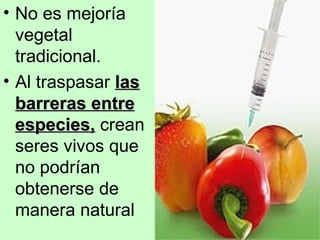 No es mejoría vegetal  tradicional. Al traspasar  las barreras entre especies,  crean seres vivos que no podrían obtenerse de manera natural 