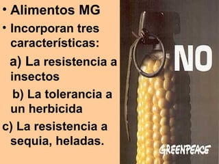 Alimentos MG Incorporan tres características: a) L a resistencia a insectos  b) La tolerancia a un herbicida c) La resistencia a sequia, heladas. 