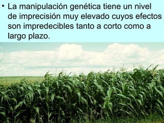 La manipulación genética tiene un nivel de imprecisión muy elevado cuyos efectos son impredecibles tanto a corto como a largo plazo. 