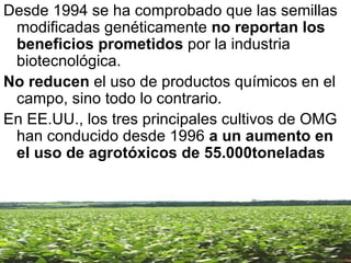 Desde 1994 se ha comprobado que las semillas modificadas genéticamente  no reportan los beneficios prometidos  por la industria biotecnológica. No reducen  el uso de productos químicos en el campo, sino todo lo contrario.  En EE.UU., los tres principales cultivos de OMG han conducido desde 1996  a un aumento en el uso de agrotóxicos de 55.000toneladas 