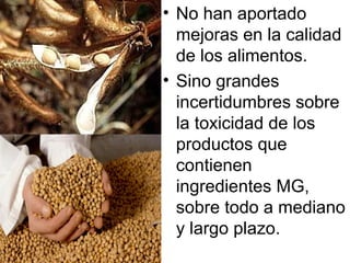 No han aportado mejoras en la calidad de los alimentos. Sino grandes incertidumbres sobre la toxicidad de los productos que contienen ingredientes MG, sobre todo a mediano y largo plazo. 