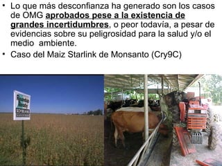 Lo que más desconfianza ha generado son los casos de OMG  aprobados pese a la existencia de grandes incertidumbres , o peor todavía, a pesar de evidencias sobre su peligrosidad para la salud y/o el medio  ambiente. Caso del Maiz Starlink de Monsanto (Cry9C) 
