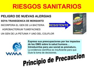 RIESGOS SANITARIOS PELIGRO DE NUEVAS ALERGIAS SOYA TRANSGENICA DE MONSANTO INCORPORA EL GEN DE LA BACTERIA  AGROBACTERIUM TUMEFACINES UN GEN DE LA PETUNIA Y UNO DEL COLIFLOR RESISTENTE Expreso sus preocupaciones por los impactos  de los OMG sobre la salud humana… Introducirlos para uso social es prematuro, La evidencia científica es insuficiente para que Guie la toma de decisiones. Principio de Precaucion 